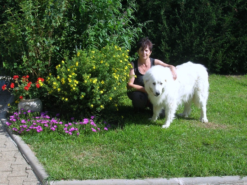 été 2013